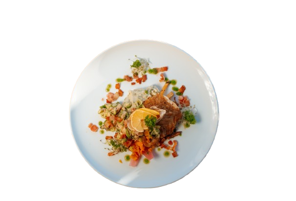 dsc03606 removebg preview